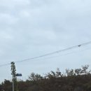 다온팬션2 | 청주 근교 세종 글램핑 다온숲 글램핑장 4인 온돌방 E동 E-3 내돈내산 가을글램핑 후기