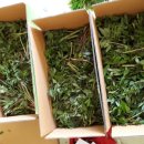 미리내 농장 이미지