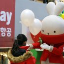 시민항공여행 이미지
