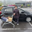 정이용소
