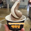 백미당야우리 | [천안 신세계백화점 카페] 백미당 소프트 아이스크림 추천 내돈내산