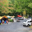 장태산자연휴양림 캠핑장 이미지