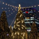 중원-82 | [붱순이 나들이] 창원 진해 중원로터리 초대형 크리스마스트리 🎄