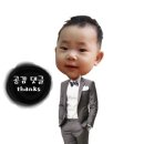 상남동288 이미지