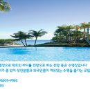 세부존투어자유여행