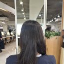 쏭헤어샵 | 대치동 미용실 준오헤어 대치점 황정민 원장 뿌리펌 후기