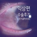 대전성모안과