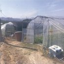 성주군대가면용흥보건진료소 | 2017 타경 3663 .경상북도 성주군 대가면 용흥리 전 경매