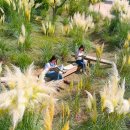 은빛파도 이미지