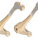 위풍당당재활의학과의원 이미지