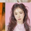 호엔터테인먼트 주식회사 네이버블로그
