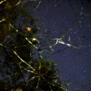 뜬별펜션 이미지