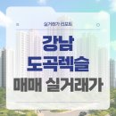 GS25 상명대사범관점 | 강남구 도곡렉슬 아파트 매매 실거래가 및 학군 입지 분석 (2025년 9월)