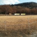 대구문화예술회관 야외공연장 이미지