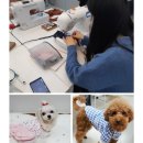 처음 배우는 미싱 기초 홈패션 | 대전 미싱 수업 홈패션 소품만들기 수강생 모집 초보자 환영