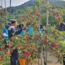 김경식농장 이미지