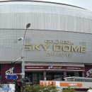 고척한일유앤아이(아) | 🔥불꽃야구🔥 직관후기10월 12일 고척돔 불꽃파이터즈vs 한일장신대 / 고척돔 주차 꿀팁 / 카카오페이증권...