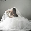 을-180 이미지