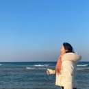 기사문항(회센터) 이미지