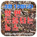 우리뉴스합동공인중개사사무소 | 3월 13일(금) 알면 도움되는 뉴스