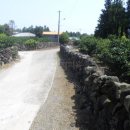 의귀초등학교 병설유치원 이미지