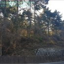 사량초등학교읍덕분교장 이미지