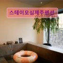 스테이모심제주펜션
