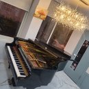 비발디음악전문학원 이미지