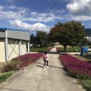 주천민박 이미지