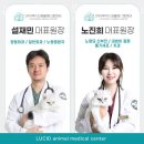 24시루시드동물메디컬센터
