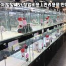 야옹 멍멍 이미지