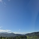 단양군농업기술센터 | 단양 농업기술센터 원 데이 수업 '감 송편'-강의 후기