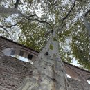 (주) 가인여행사 | 함께 걸어요. 이스라엘 성지 순례길 단상 (feat. 갈릴리여행사)