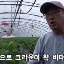 JS팜
