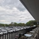 황금이식물원 | 문지리535 파주 자유로 식물원 대형 카페 빵 주차 황금연휴 방문 후기