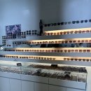 진안안경원 | 창원 진해용원, 부산신항 진 안경점! 가성비안경집