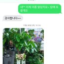 샤롯데플라워