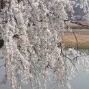 화랑유원지 이미지