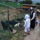 준식농장 이미지