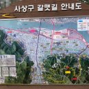 백양산체육공원 이미지