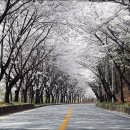 파미힐스 컨트리클럽 이미지