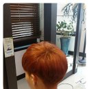 썬미용실 이미지