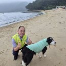 [이태열 거제시의원] 와현, 명사해수욕장 현장 안전점검 다녀왔습니다 이미지