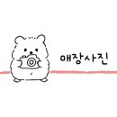 파리바게뜨 원당자이 네이버블로그