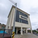 반도스파인 이미지