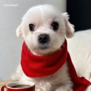 용게임랜드 이미지