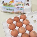 자연담은 | 푸드코리아 난각번호 1번계란 자연을담은 방사유정란 솔직 후기