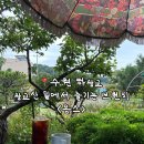 광교산로 | 강아지와 함께 누리는 호사.. 광교산브런치카페 추천 몽스 방문후기