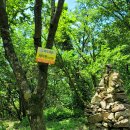 나무쉼터 이미지