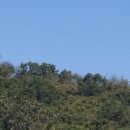 선원면-9 이미지